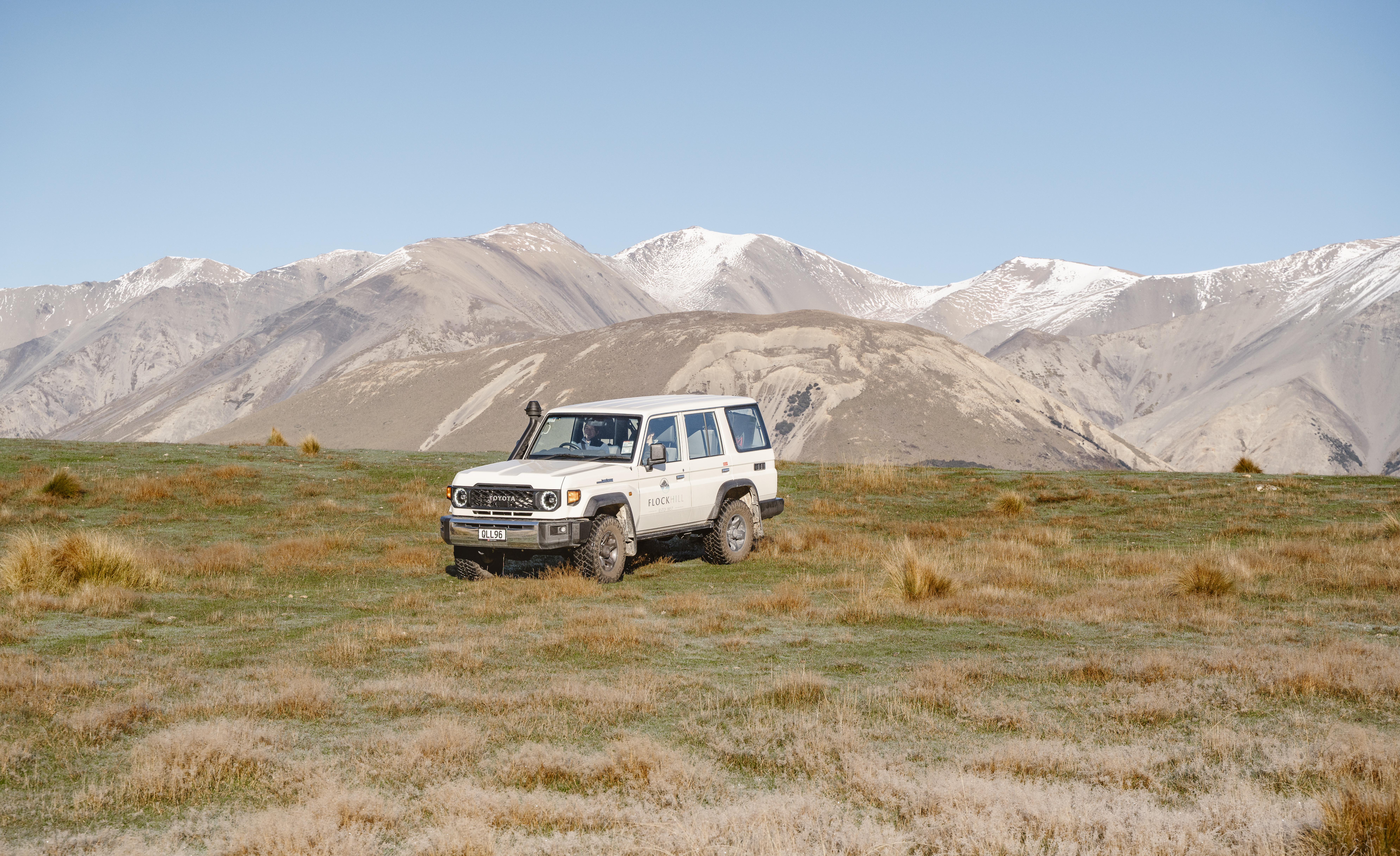 golden_wonder_photo-flockhill-103.jpg