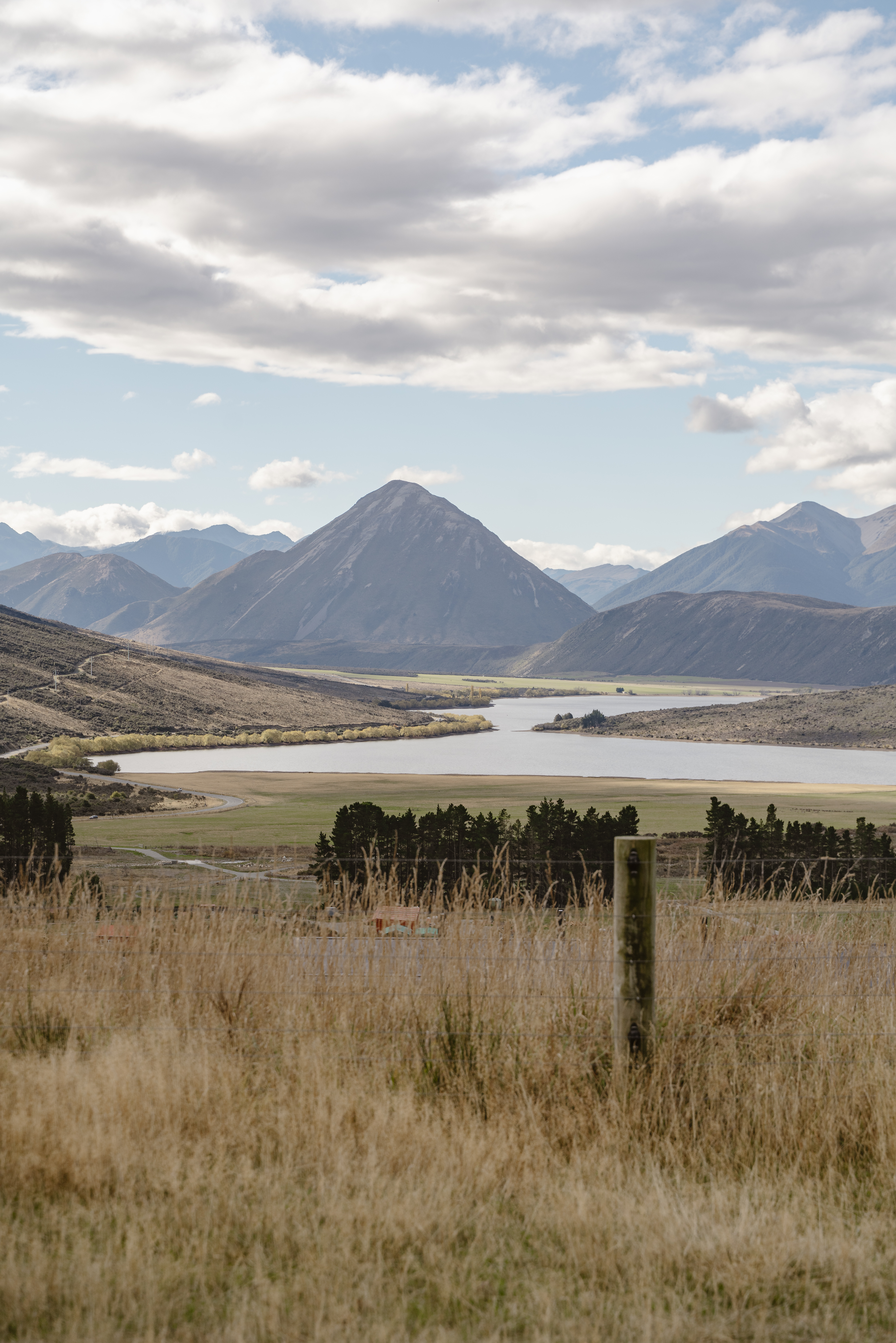 golden_wonder_photo-flockhill-298.jpg