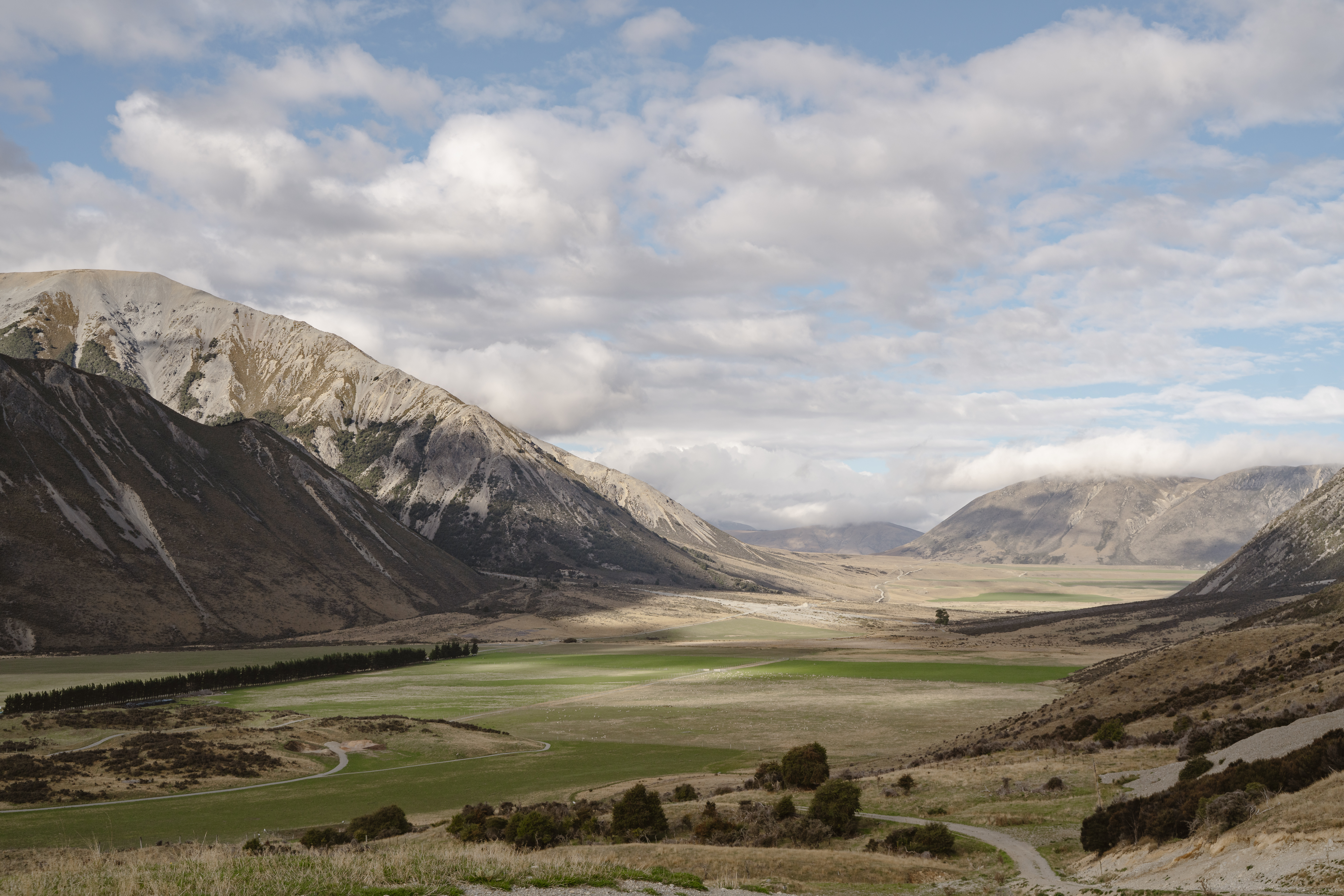 golden_wonder_photo-flockhill-301.jpg